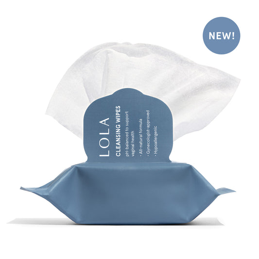 Cleansing Wipes Pouch